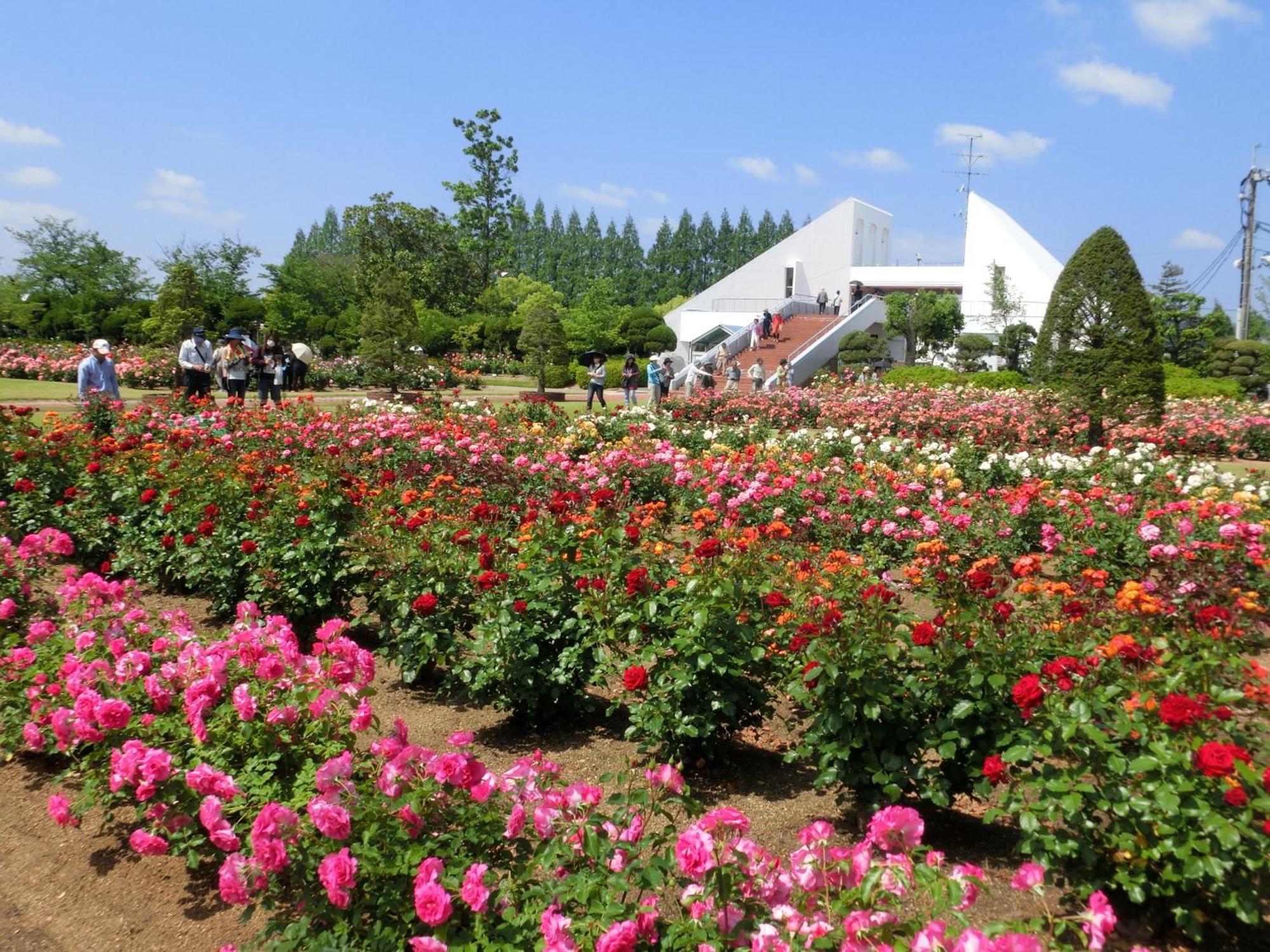 スマイルホテル　岡山 3* 岡山市